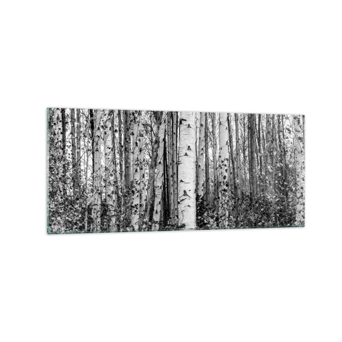 Obraz na skle - Březová kolonáda - 120x50 cm