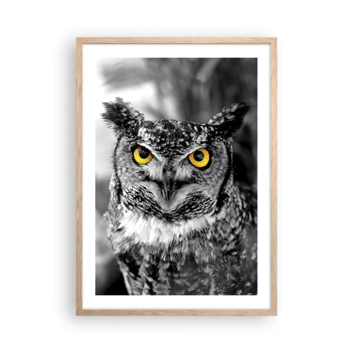 Plakát v rámu světlý dub - Nic se neschová - 50x70 cm