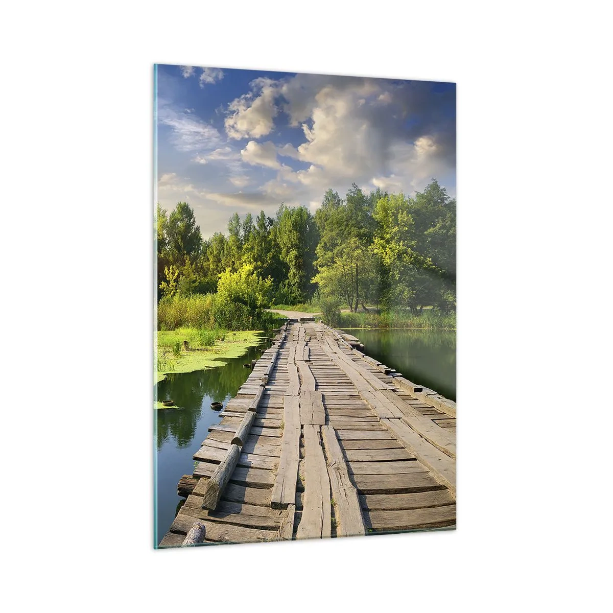 Obraz na skle - Léto, léto všude - 50x70 cm