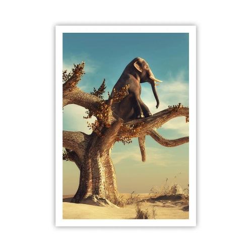 Plakát - Nový úhel pohledu - 70x100 cm