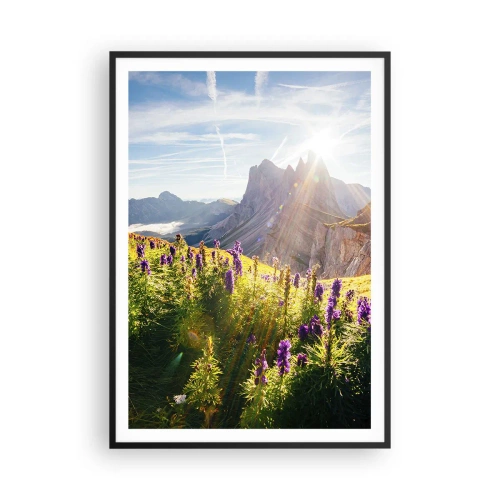 Plakát v černém rámu - Tajemný život bylin - 70x100 cm