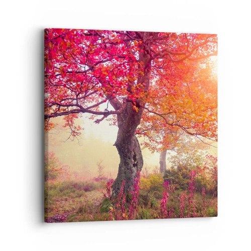 Obraz na plátně - Šílenství rozkvětu - 30x30 cm