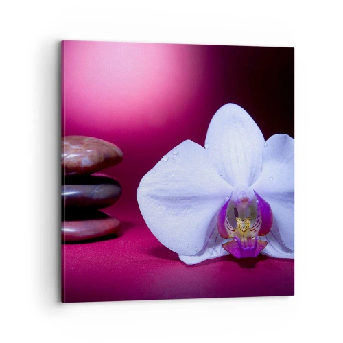 Obraz na plátně - Studie svěžesti ve fialové - 70x70 cm