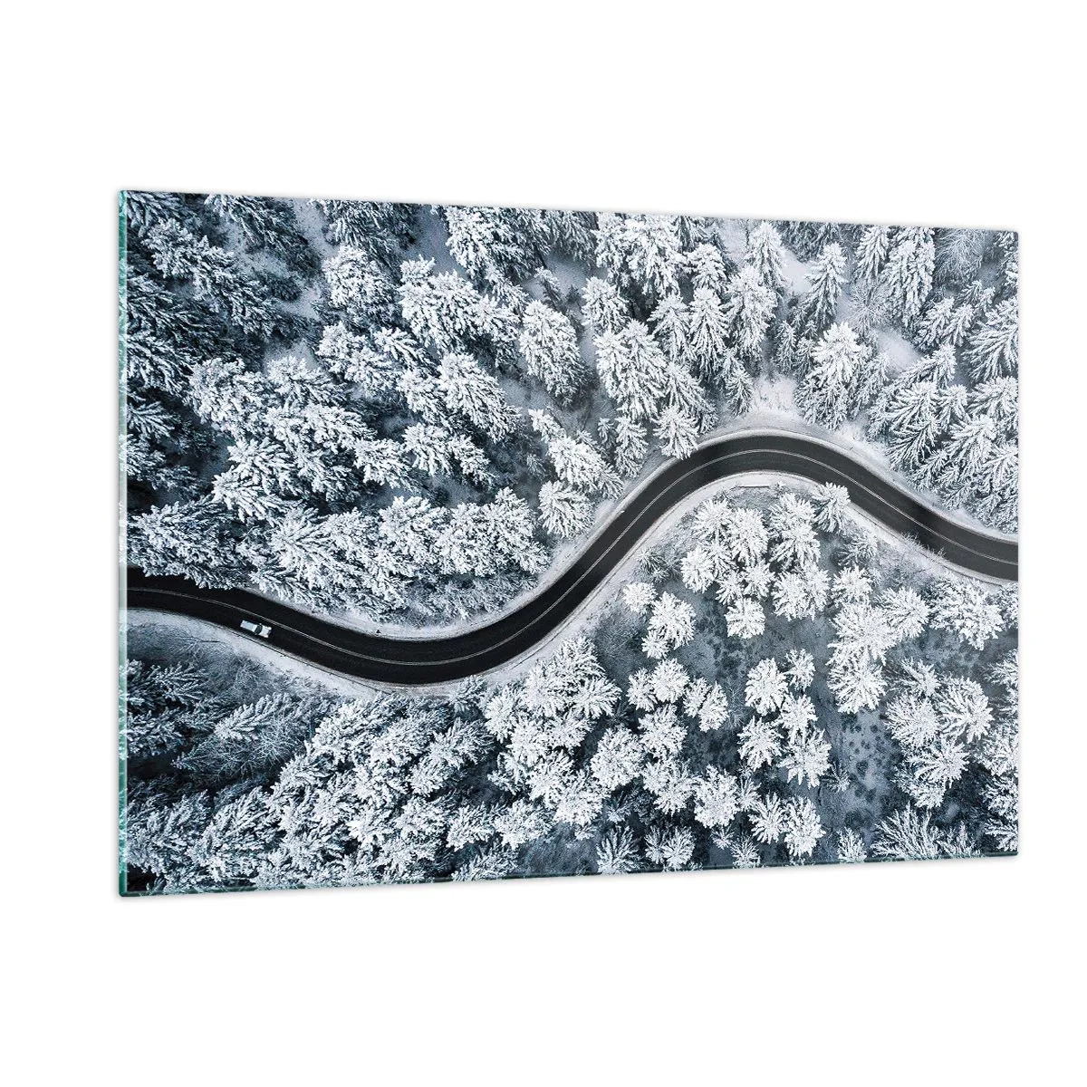 Obraz na skle - Zimním lesem - 120x80 cm