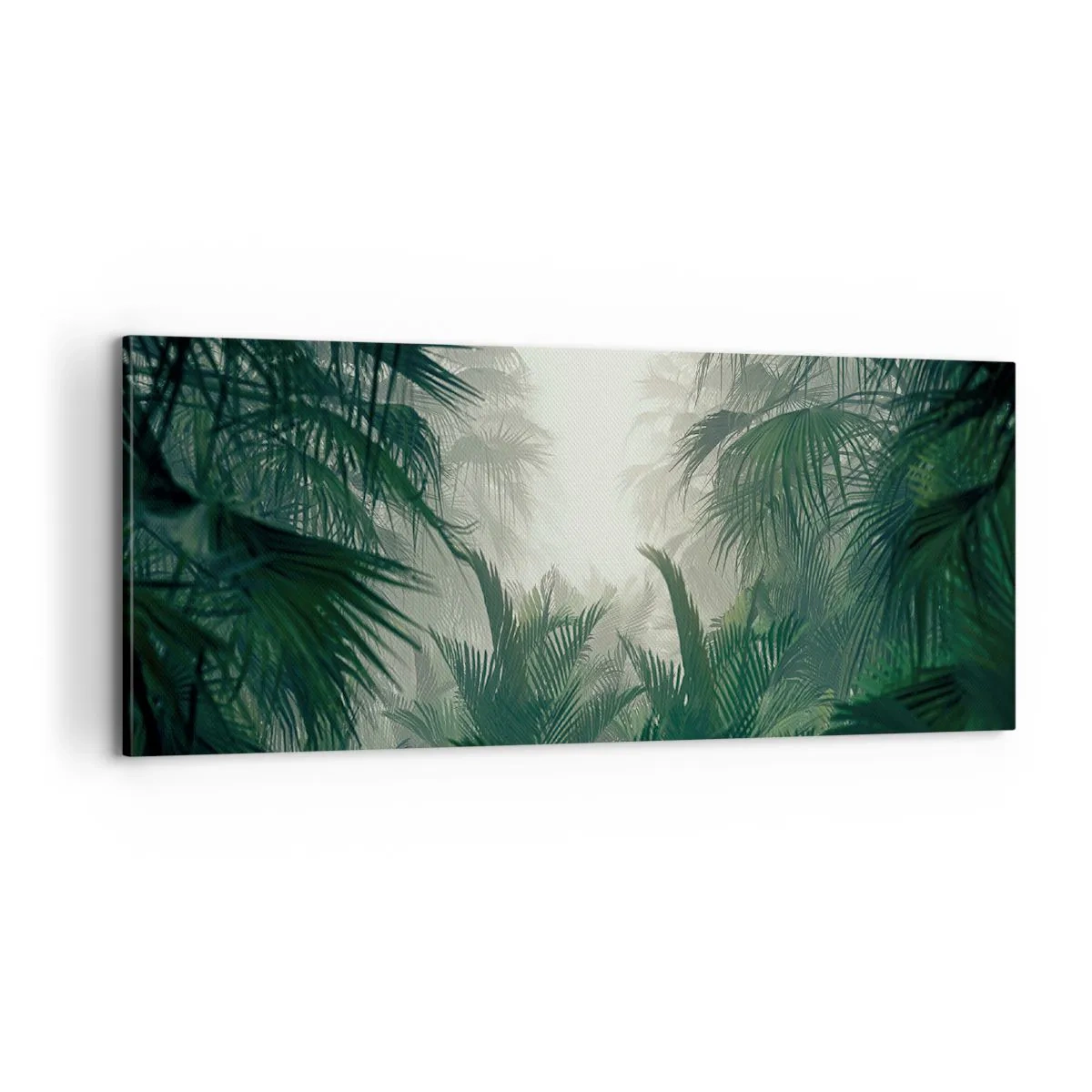Obraz na plátně - Tropická záhada - 100x40 cm