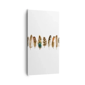 Obraz na plátně - Opeřená variace - 65x120 cm
