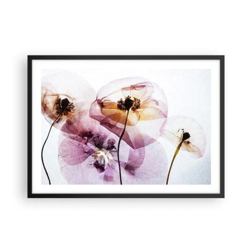 Plakát v černém rámu - Průhledné těla květin - 70x50 cm