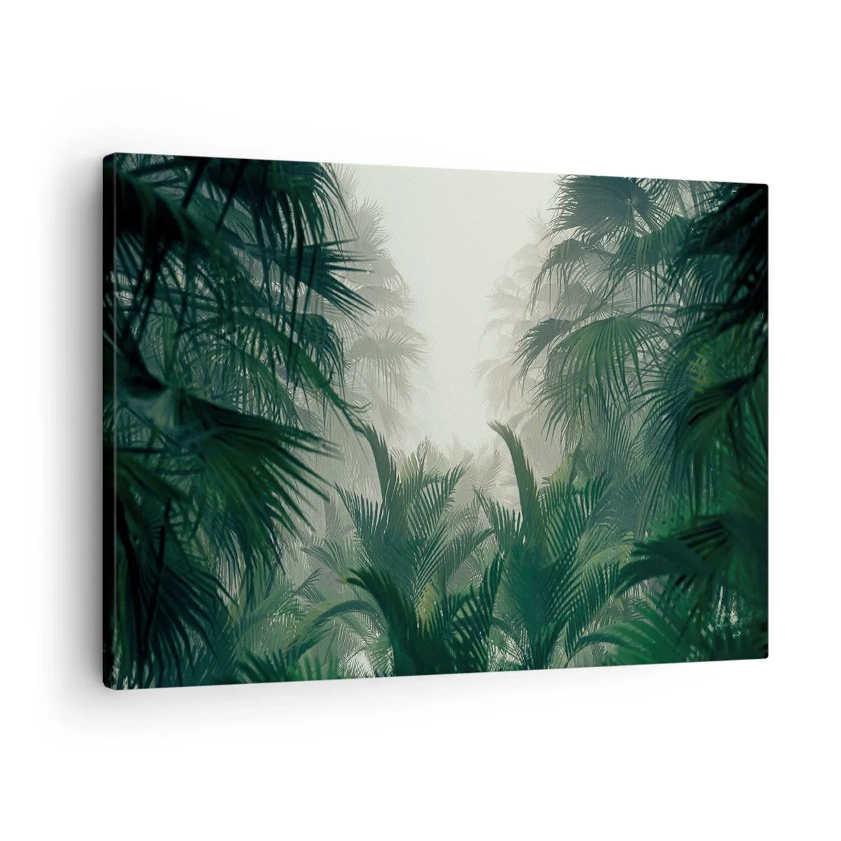 Obraz na plátně - Tropická vegetace v husté mlze deštného pralesa - 70x50cm - Tropická záhada - Moderní nástěnná dekorace do obývacího pokoje a ložnice ARTTOR
