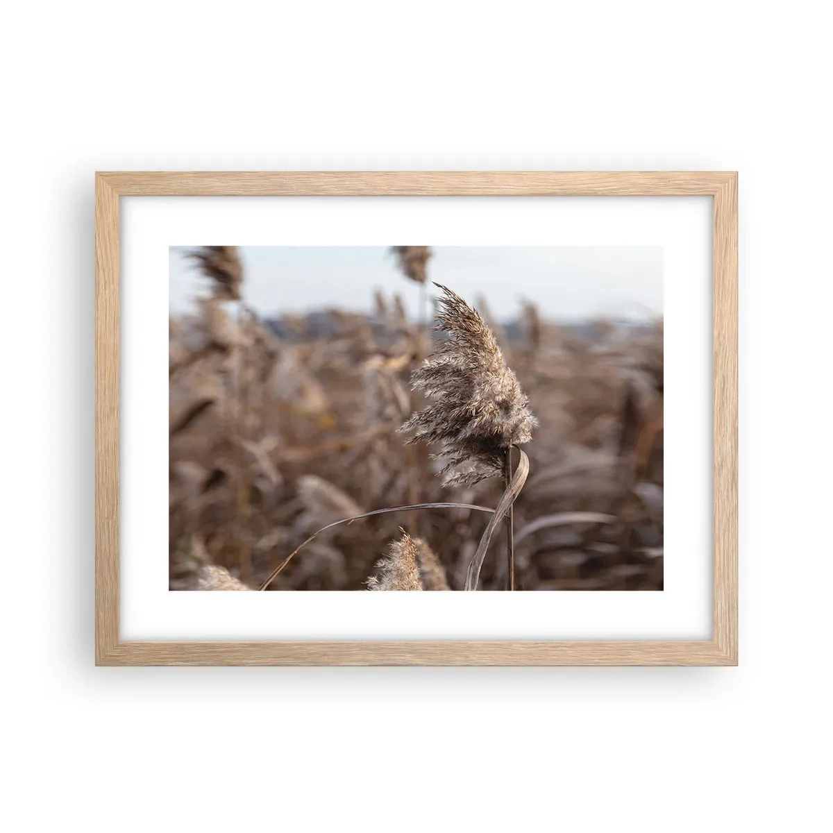 Plakát v rámu světlý dub - Čas odletět s větrem - 40x30 cm