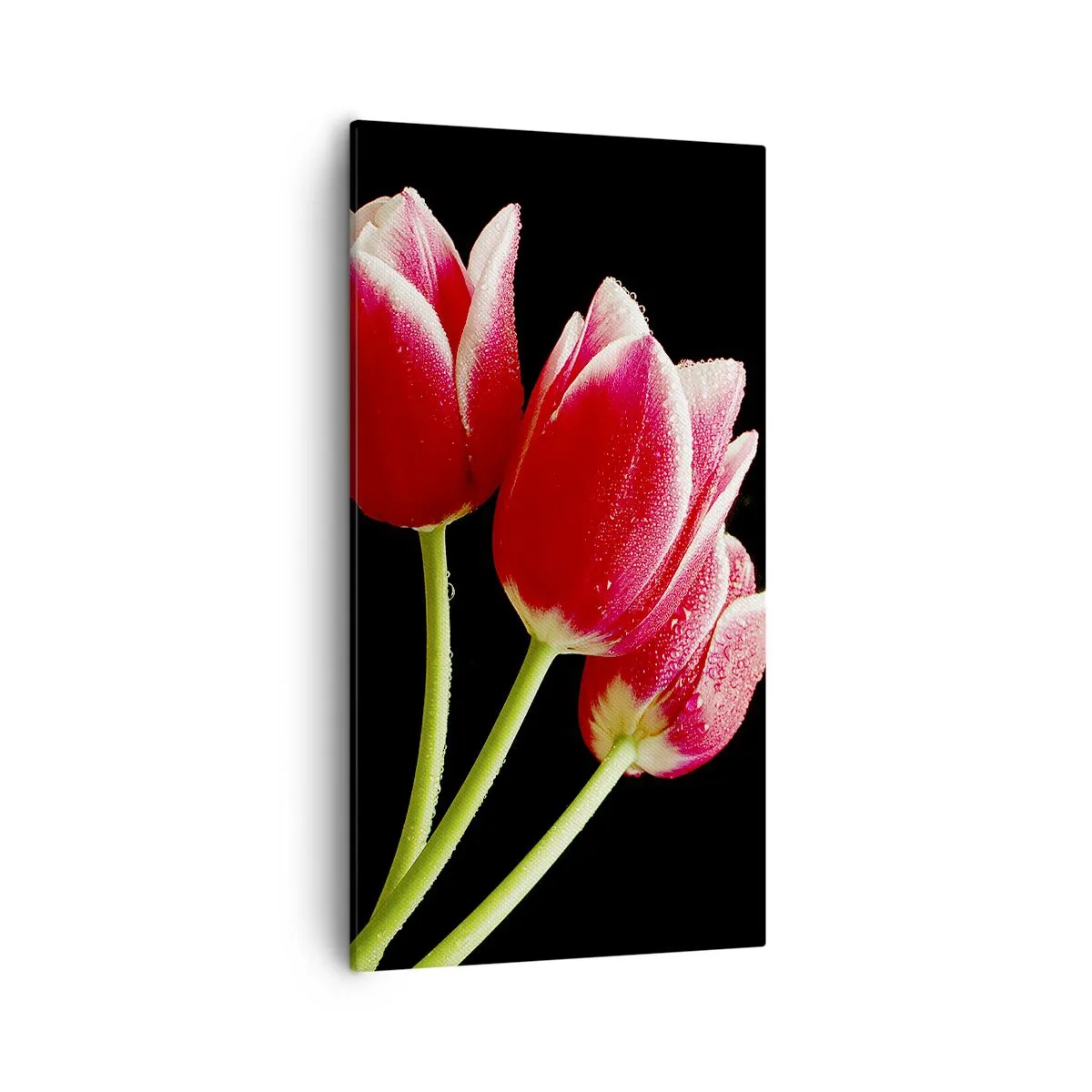 Obraz na plátně - Slib čisté lásky - 55x100 cm