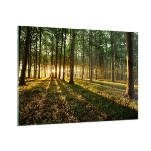 Obraz na skle - Fotografie všech jar - 100x70 cm