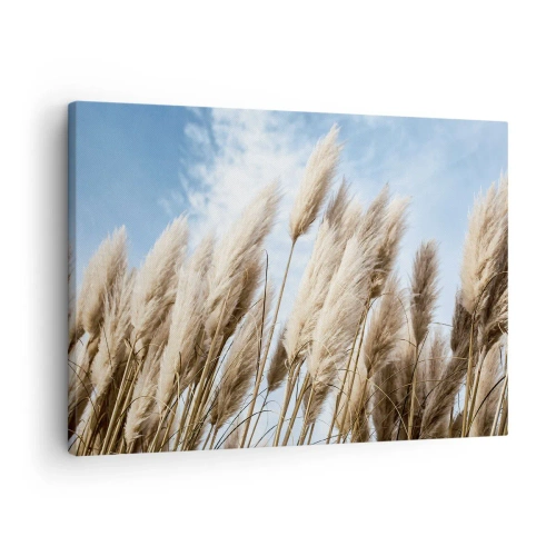 Obraz na plátně - Jemné pampové trávy proti modré obloze s lehkými mraky - 70x50cm - Slunečné a větrné pohlazení - Moderní nástěnná dekorace do obývacího pokoje a ložnice ARTTOR