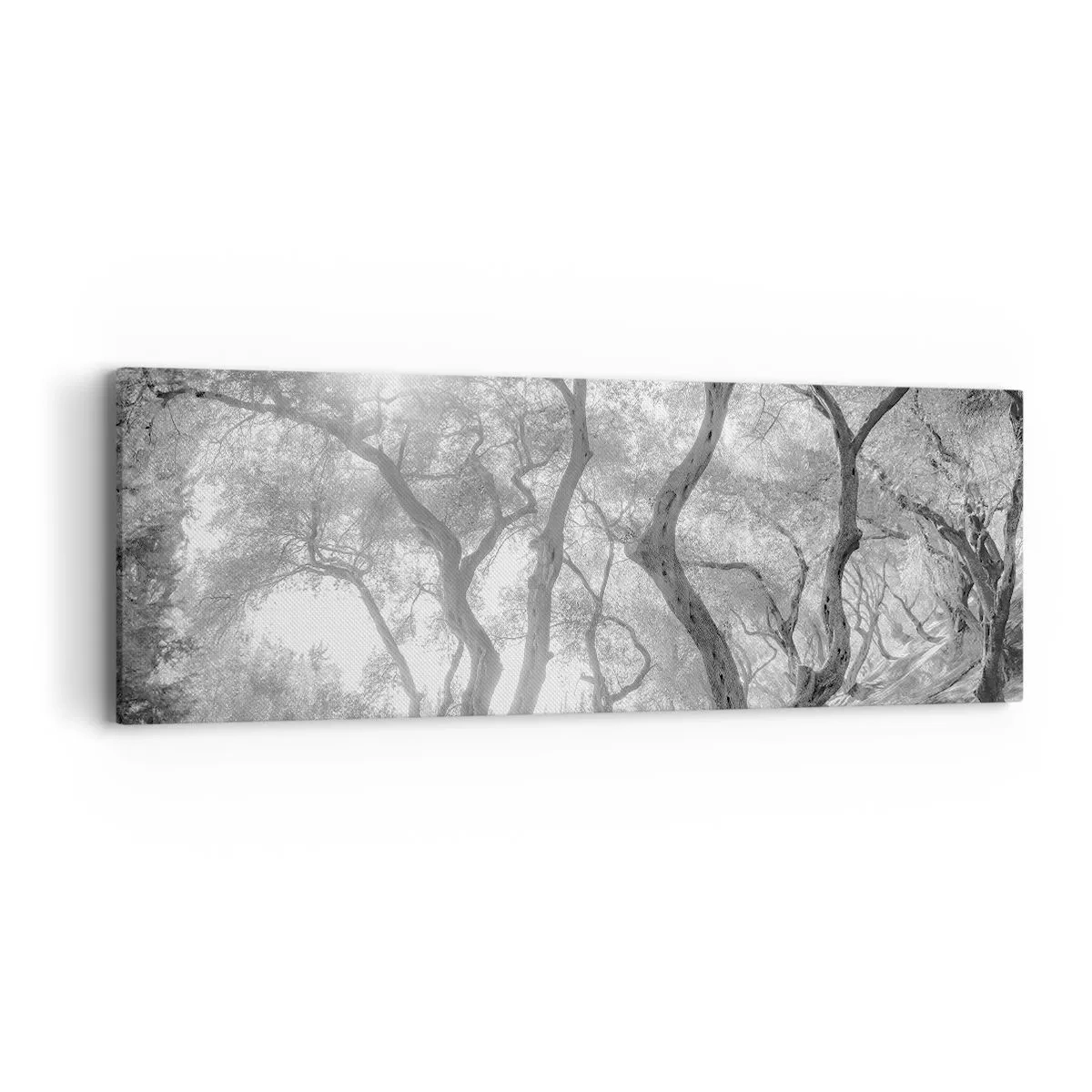 Obraz na plátně - V olivovém háji - 90x30 cm