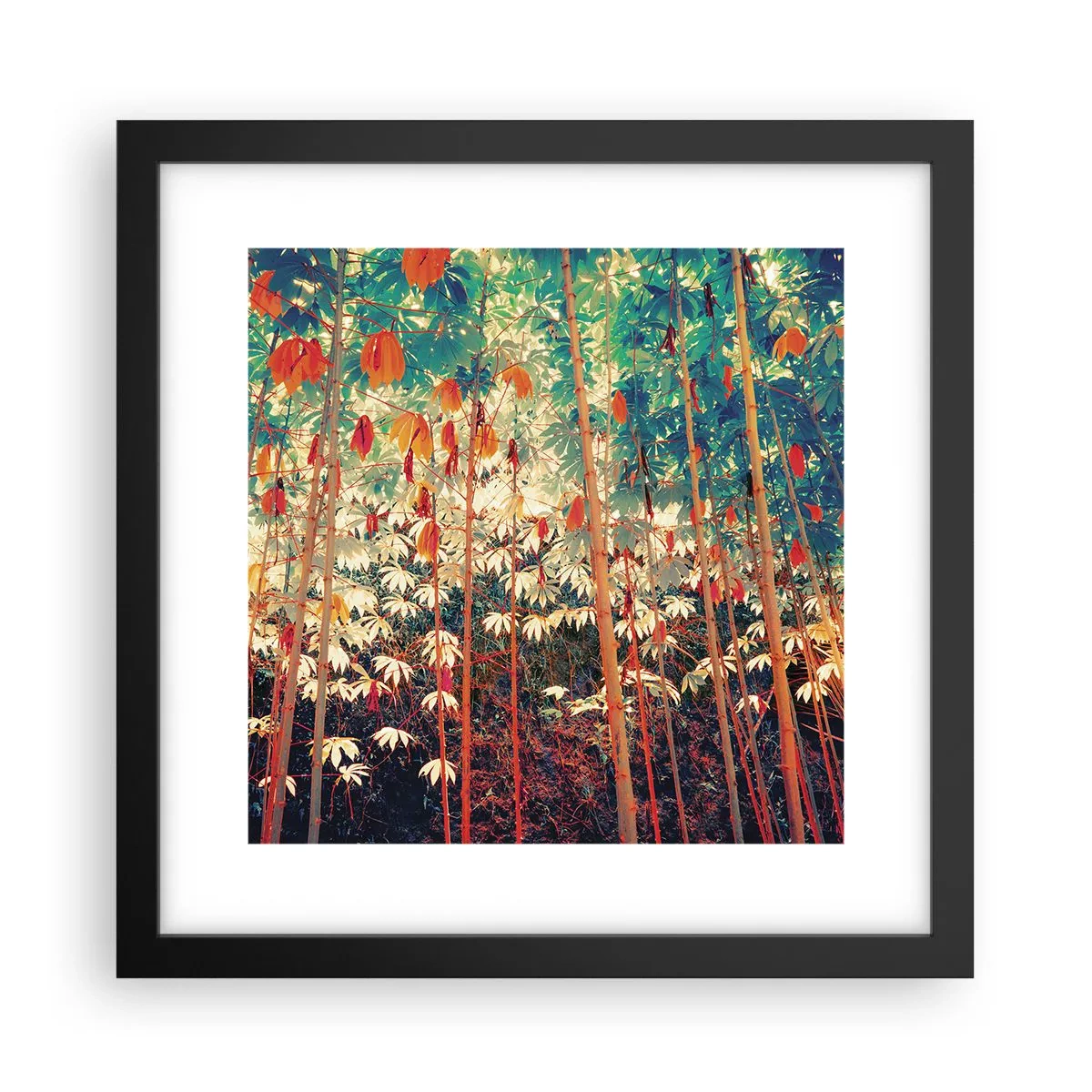 Plakát v černém rámu - Tajný život listů - 30x30 cm