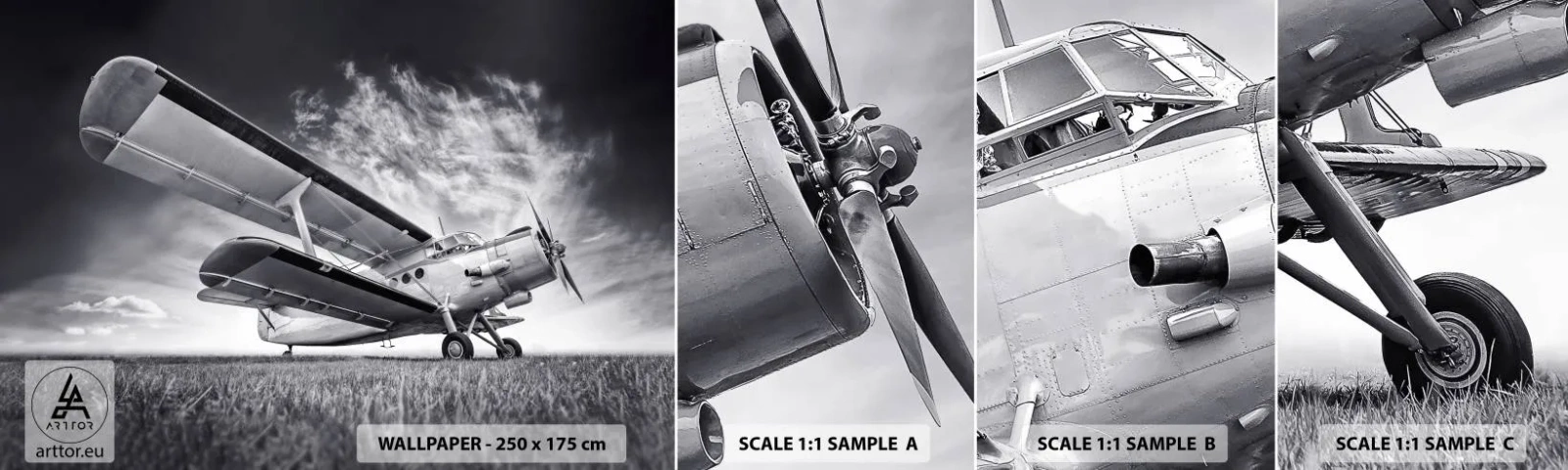 Vzor Fototapety Samolepicí Deluxe Sticker - Okřídlený poutník - Letadlo, Letadlo, Černý a bílý - 100x30 cm