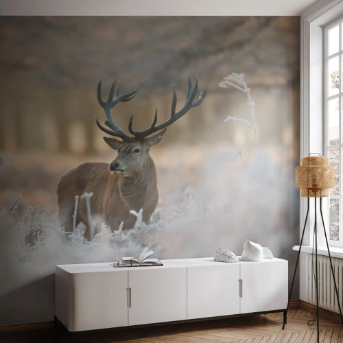 Fototapeta na míru Premium Sand - Svěží ráno - Krajina, Jelen, Zvířata