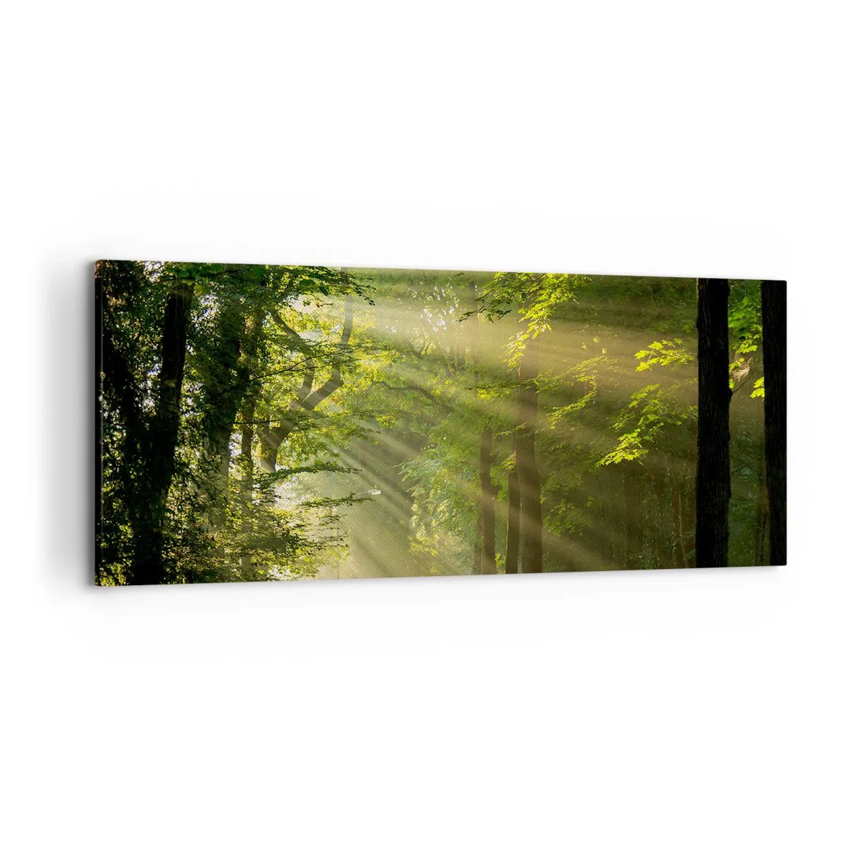 Obraz na plátně - Lesní okamžik - 120x50 cm