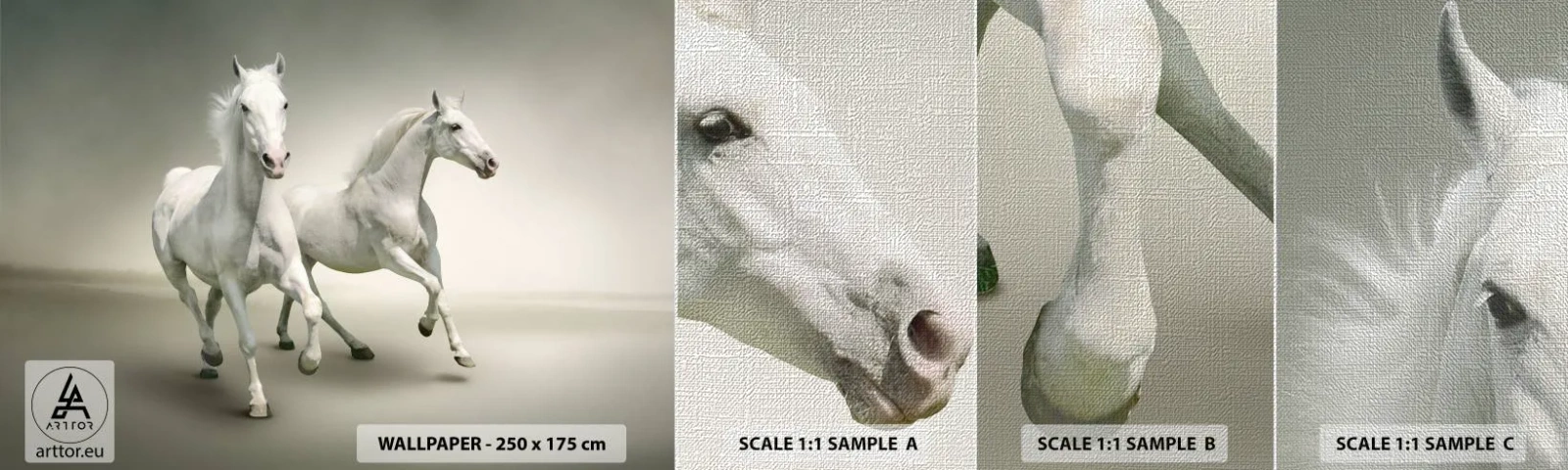 Vzor Fototapety Premium Canvas - White power! - Zvířata, Koně, Příroda - 100x30 cm