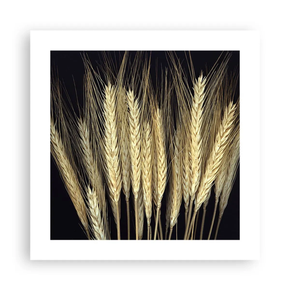 Plakát - Rustikální magie - 40x40 cm