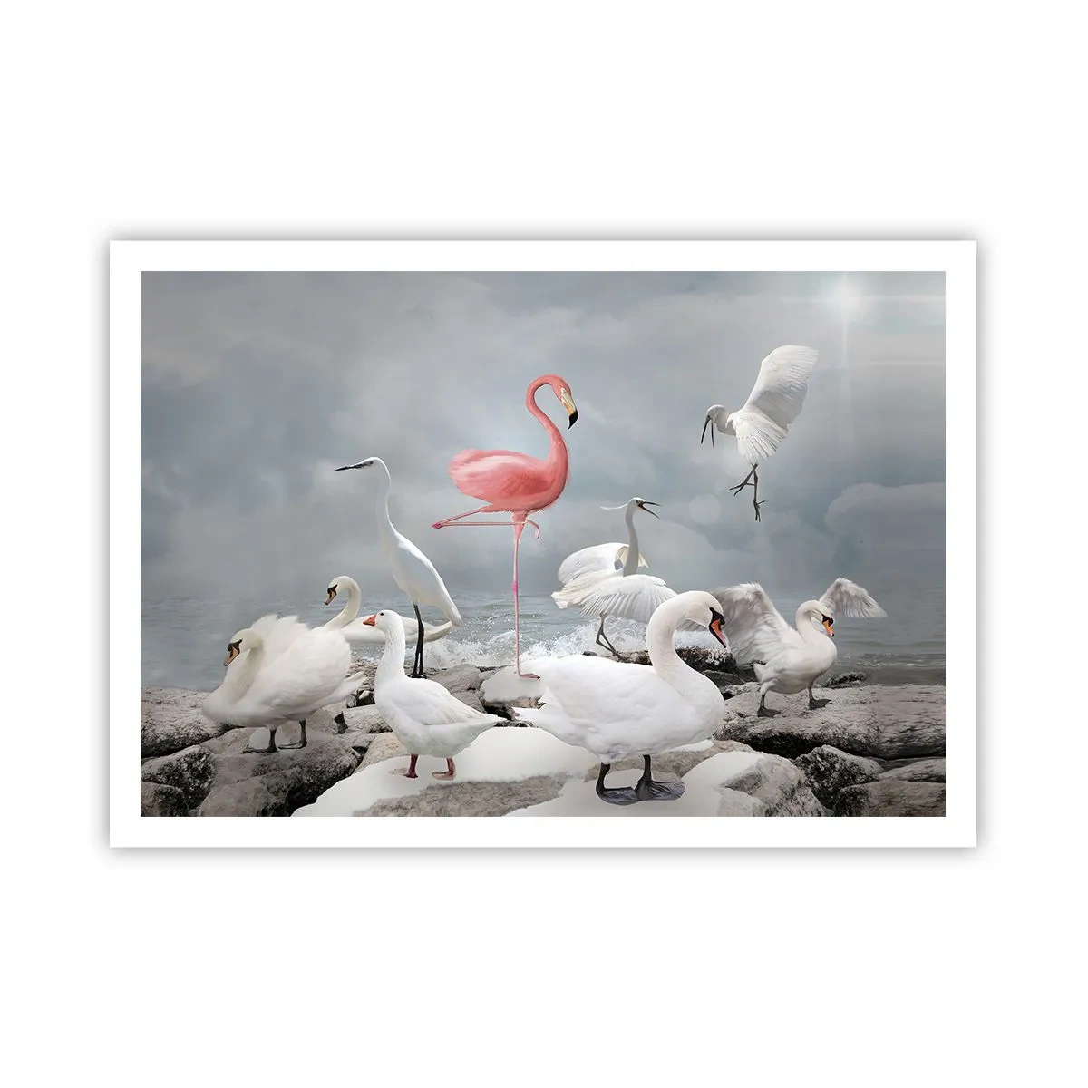Plakát - Kde jsem se tu vzal? - 100x70 cm