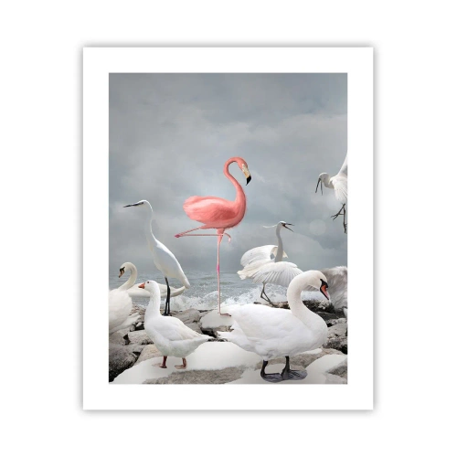 Plakát - Kde jsem se tu vzal? - 40x50 cm