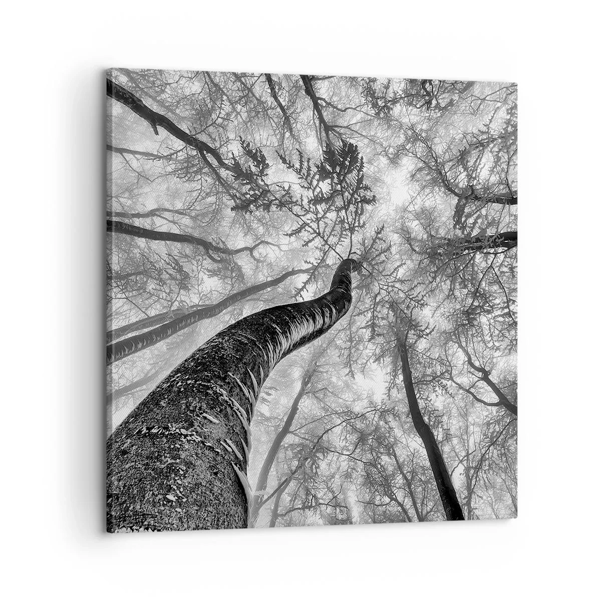 Obraz na plátně - Závod ke světlu - 60x60 cm