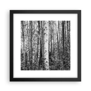 Plakát v černém rámu - Březová kolonáda - 30x30 cm