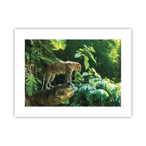 Plakát - Na lov? - 40x30 cm