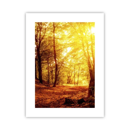 Plakát - Ke zlaté mýtině - 30x40 cm