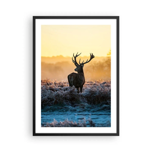 Plakát v černém rámu - Jelen na mrazivé mýtině při východu slunce - 50x70cm - Korunován na svém panství - Moderní nástěnná dekorace do obývacího pokoje a ložnice ARTTOR