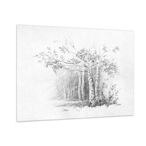 Obraz na skle - Světlo březového lesa - 100x70 cm