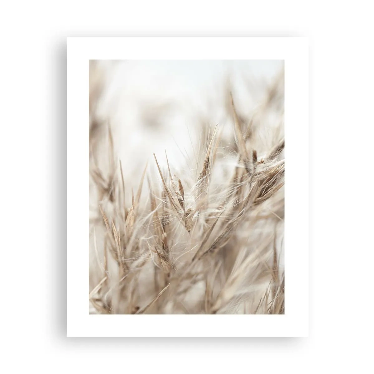 Plakát - Louka a vítr - 40x50 cm