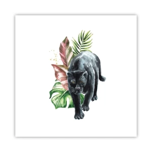 Plakát - Zběsilost v srdci - 60x60 cm