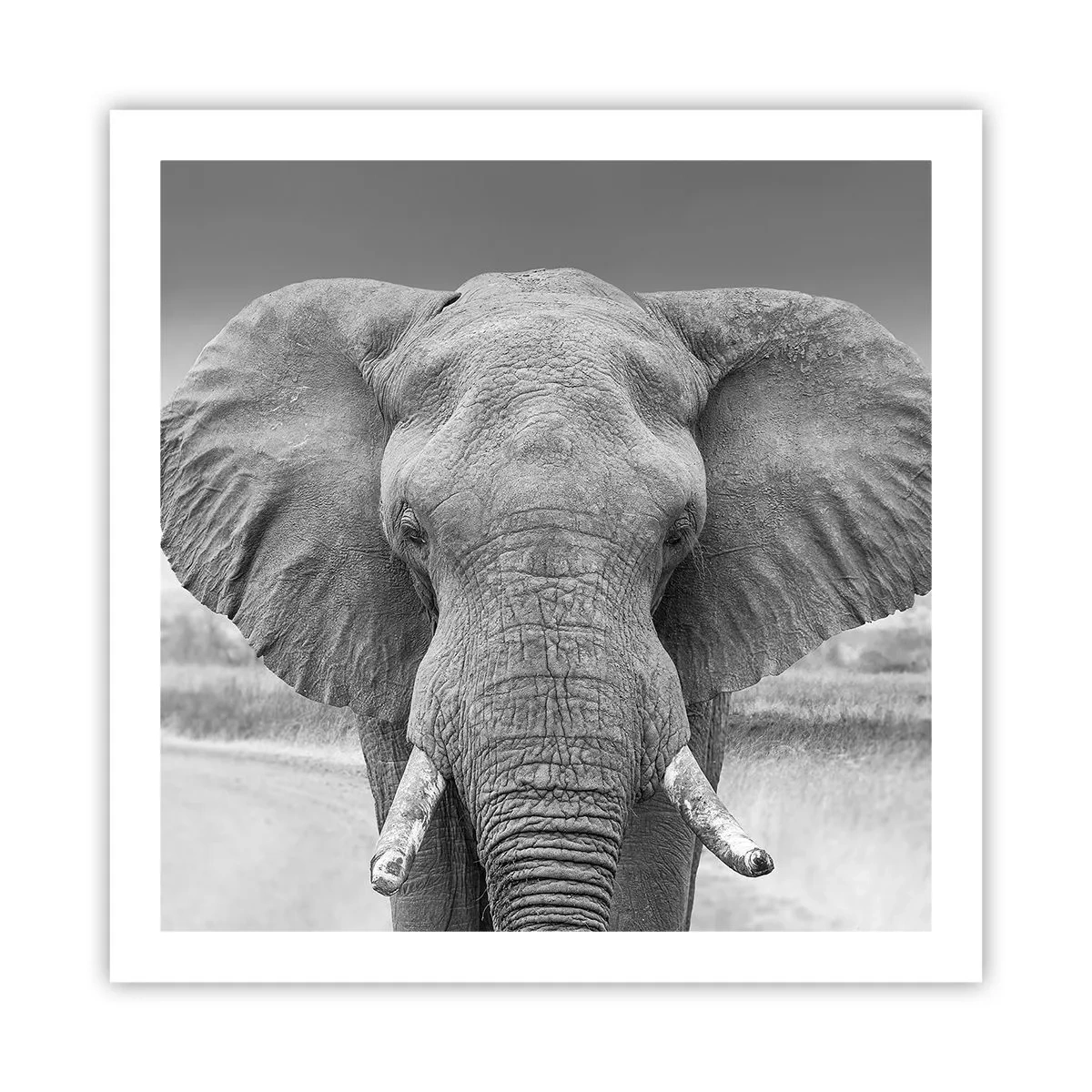 Plakát - Vítejte v mém světě - 60x60 cm