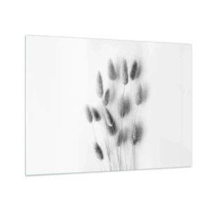 Obraz na skle - Černobílé travní klasy na světlém pozadí v minimalistickém stylu - 70x50cm - Její načechranost tráva - Moderní nástěnná dekorace do obývacího pokoje a ložnice ARTTOR
