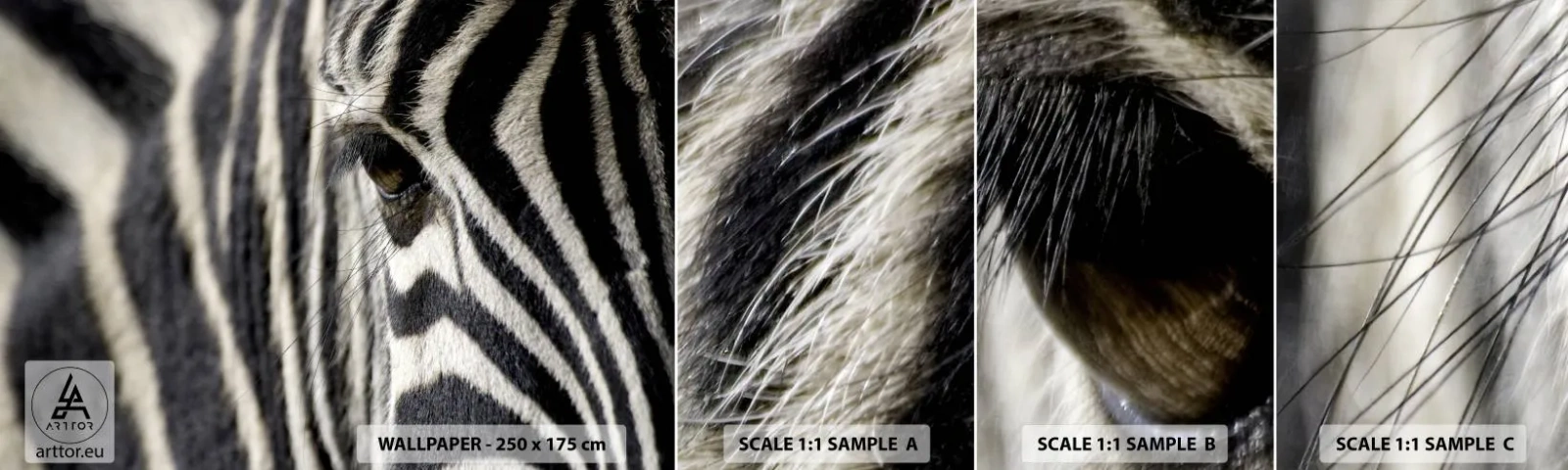 Vzor Fototapety Samolepicí Deluxe Sticker - Portrét s pruhy - Zvířata, Žebra, Afrika - 100x30 cm