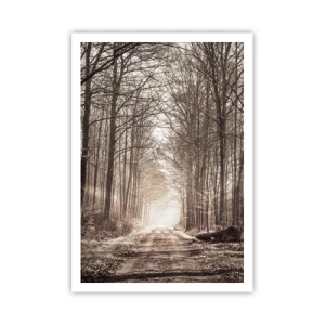 Plakát - Lesní katedrála - 70x100 cm