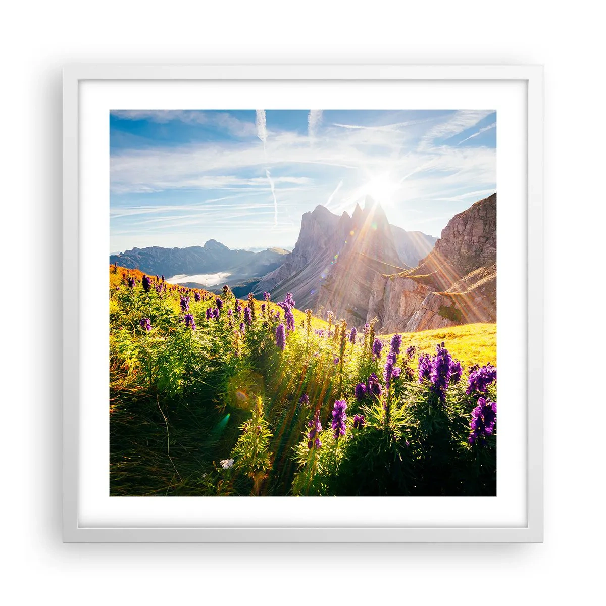 Plakát v bílém rámu - Tajemný život bylin - 50x50 cm