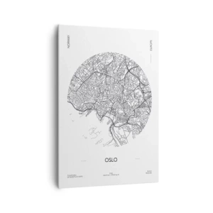 Obraz na plátně - Anatomie Osla - 70x100 cm