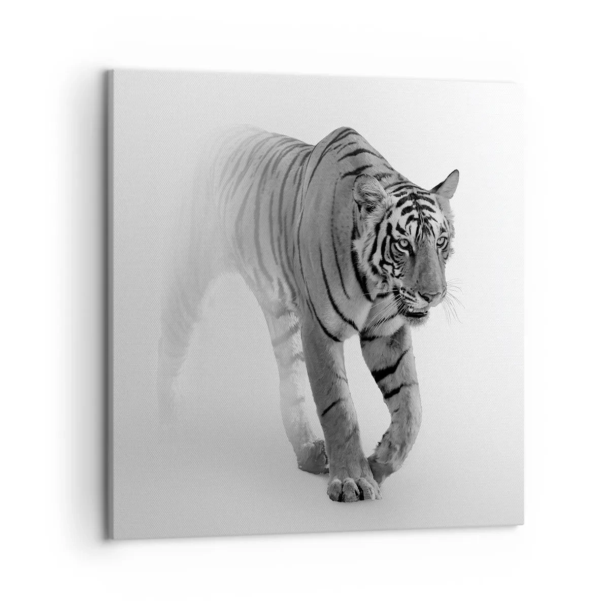 Obraz na plátně - Přikrčený v mlze - 50x50 cm