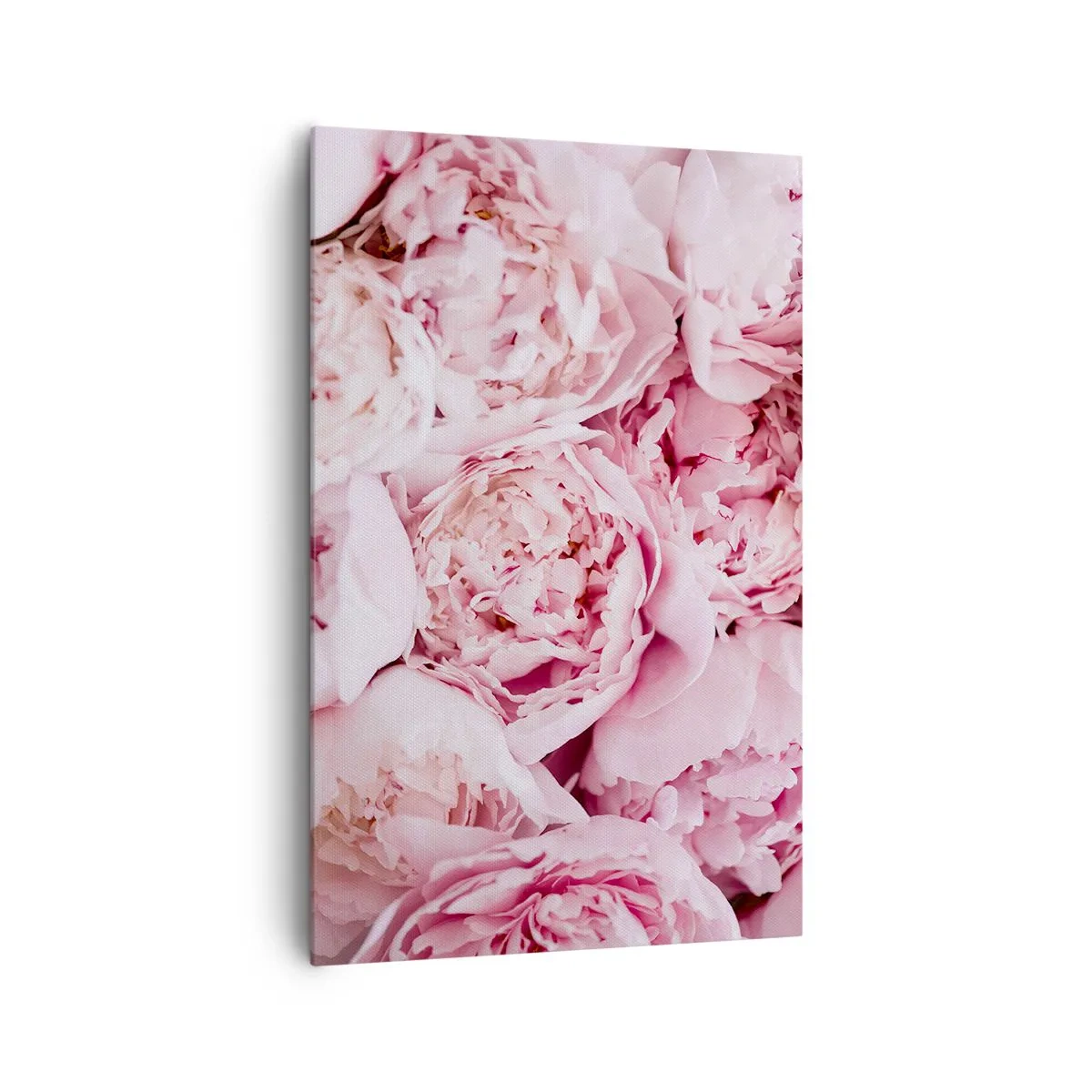 Obraz na plátně - Přitulené a voňavé - 80x120 cm