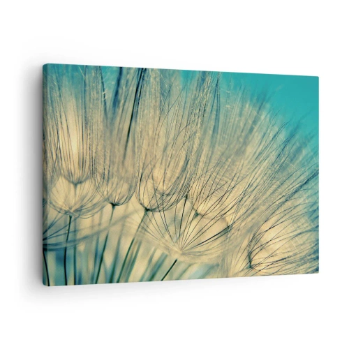 Obraz na plátně - Makrofotografie pampelišek za denního světla - 70x50cm - Čekání na vítr - Moderní nástěnná dekorace do obývacího pokoje a ložnice ARTTOR