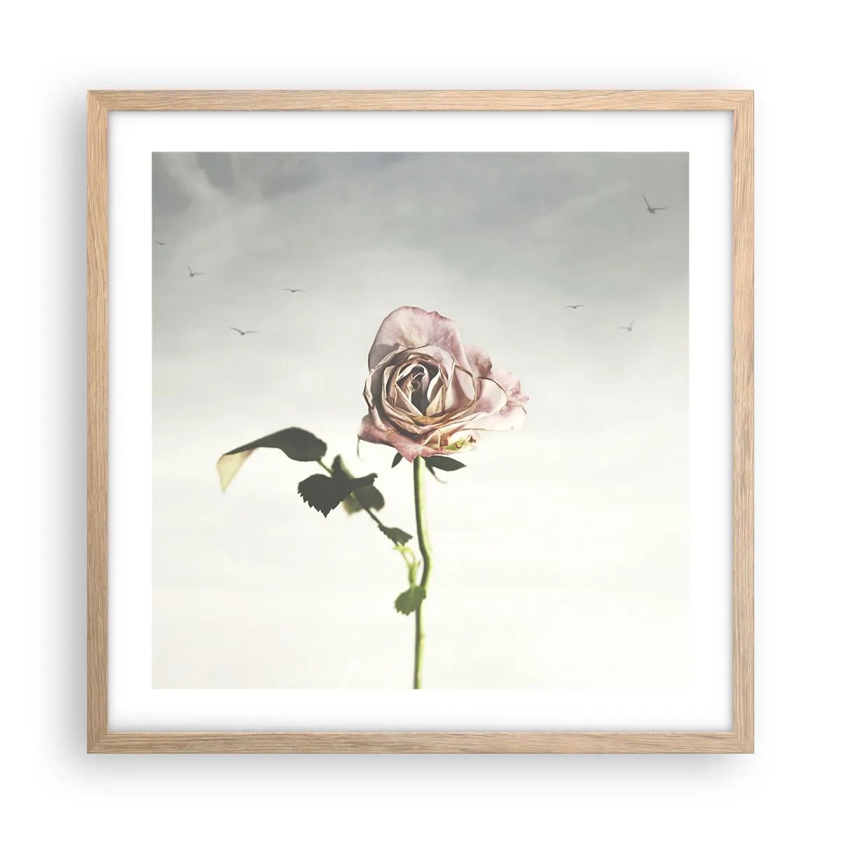 Plakát v rámu světlý dub - Vítání jara - 50x50 cm