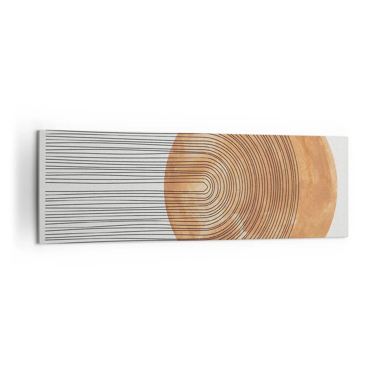 Obraz na plátně - Slunečná kompozice - 160x50 cm