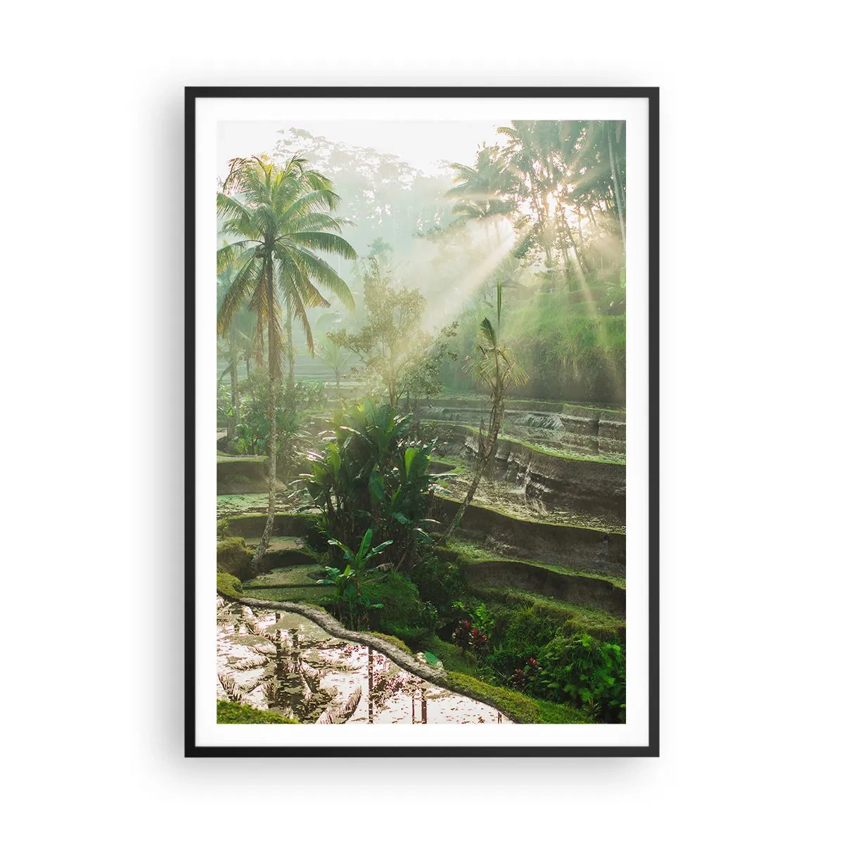 Plakát v černém rámu - Vyrůstát na slunci - 70x100 cm