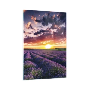 Obraz na skle - Levandulový svět - 70x100 cm