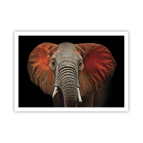 Plakát - Jsem divoký, a ty? - 100x70 cm