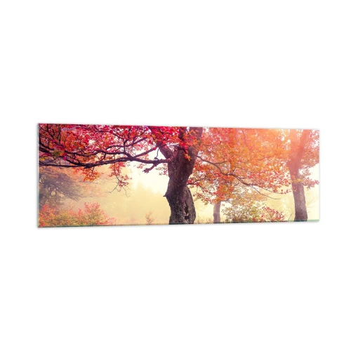 Obraz na skle - Šílenství rozkvětu - 160x50 cm