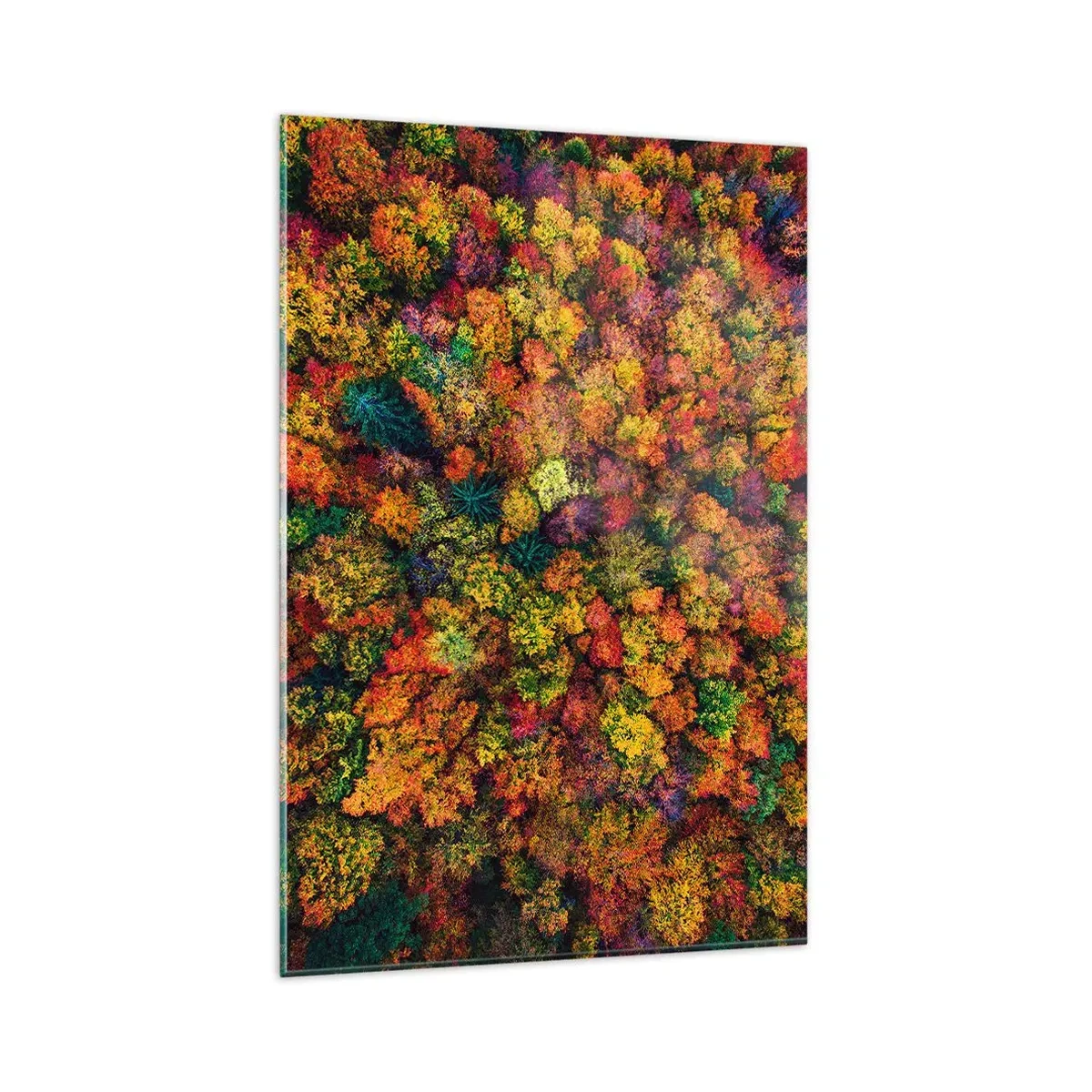 Obraz na skle - Kytice podzimních stromů - 80x120 cm