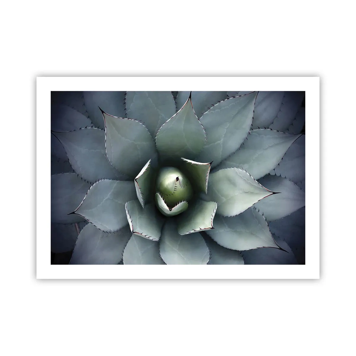 Plakát - Svádí a varuje - 70x50 cm
